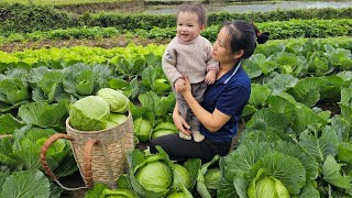 35 Days: 19 Year Old Single Mother harvesting cabbage - Building a House, Raising children