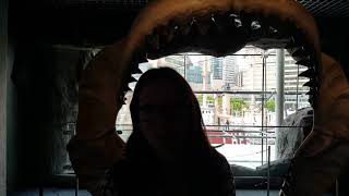 Baltimore School Trips | Baltimore Educational Tours | Visiting Baltimore's National Aquarium