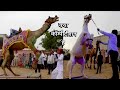 ऊंट और घोड़े का डांस कॉम्पिटिशन // Camel Dance & Horse Dance // KDH