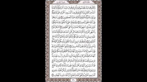 القرآن الكريم بصوت الشيخ سعد الغامدى صفحات صفحة رقم ( 30 )