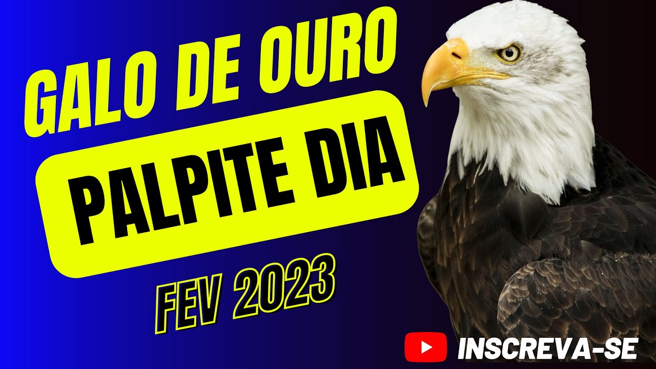 PALPITE DO DIA 170223 JOGO DO BICHO GALO DE OURO🐓 YouTube PALPITE DO DIA 170223 JOGO DO BICHO GALO DE OURO🐓 YouTube