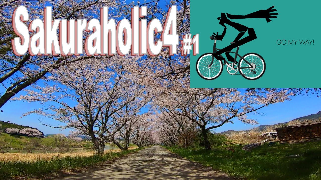 🚴🎵60min cycling in amazing pink world #1🚴🎵  [ Spring in Japan ]