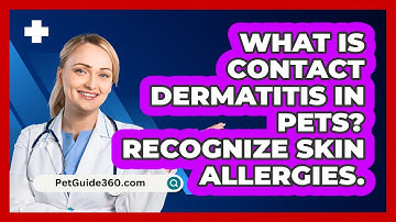 What Is Contact Dermatitis In Pets? Recognize Skin Allergies. - PetGuide360.com