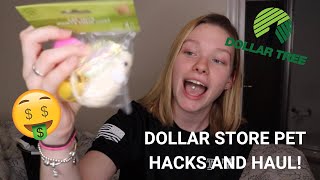 DOLLAR STORE PET HACKS AND HAUL!! ??