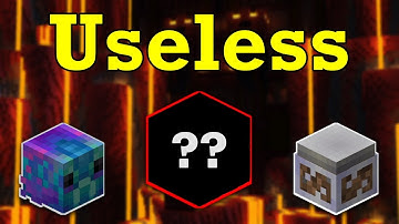 The Most Useless Item in Hypixel Skyblock..