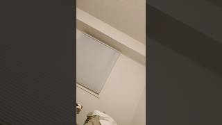 The Thing Next To You Is A Spoiled Brat  41326  godislove light life  bornagaintis gangstalk