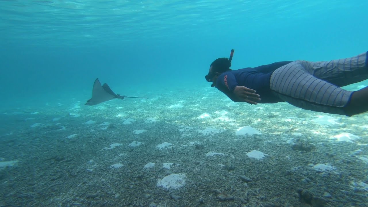 One breath - OZEN RESERVE BOLIFUSHI house reef Snorkelling