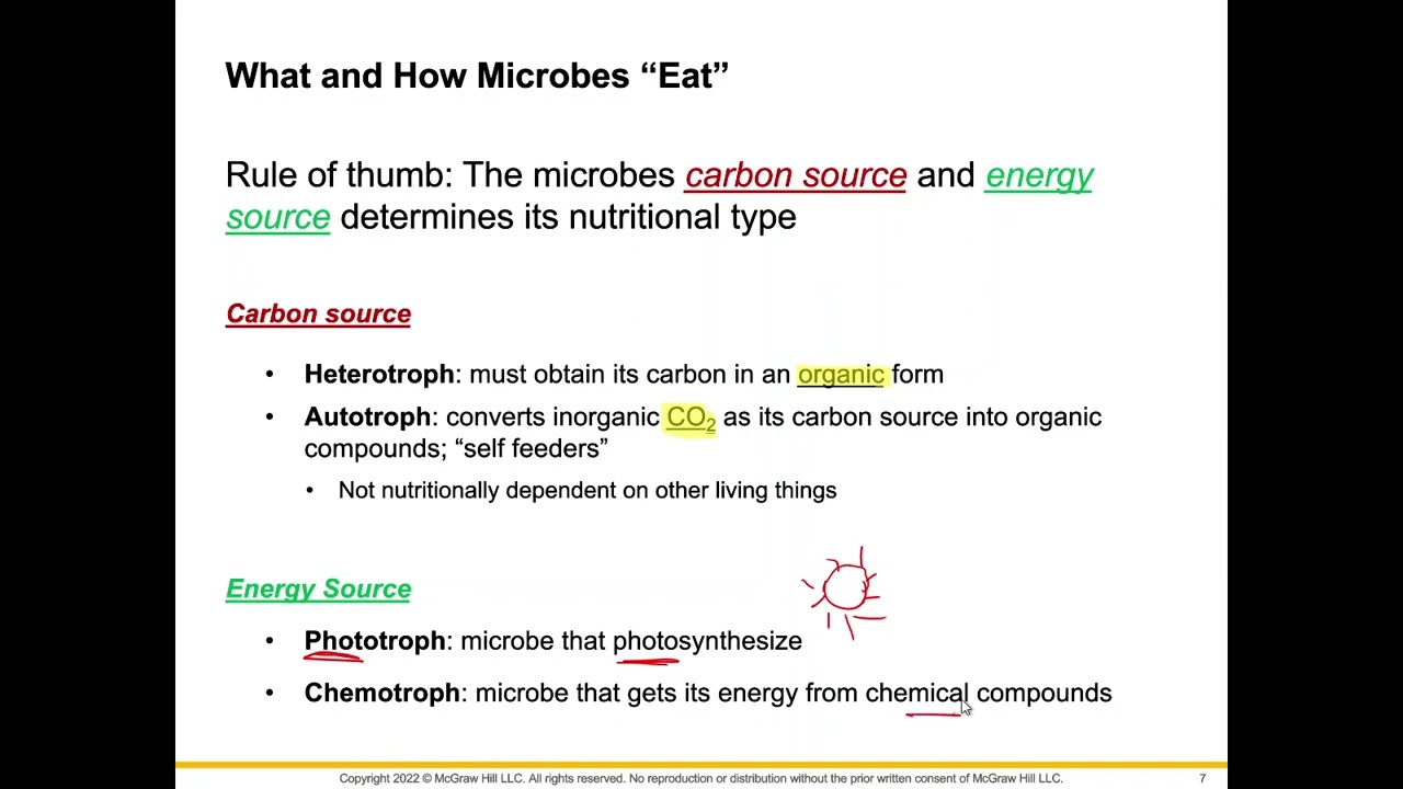 Biol 2117 Chapter 6 Microbial Nutrition and Growth