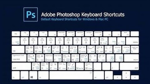 Mastering Keyboard Shortcuts & Menus in Adobe Photoshop | Boost Your Workflow! l #adobephotoshop