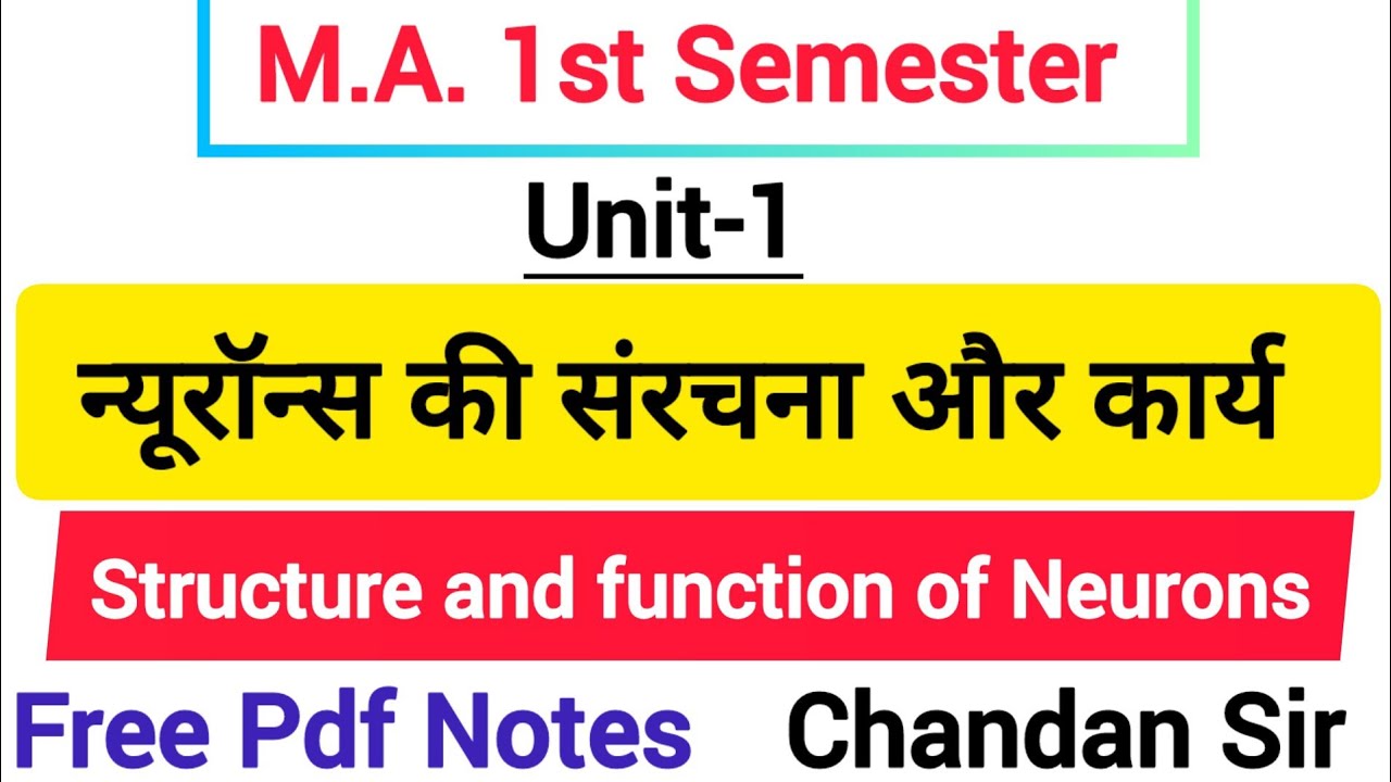 न्यूरॉन्स की संरचना और कार्य || structure and function of neurons || #neurons