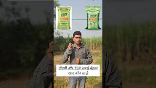 डीएपी और TSP सबसे बेहतर खाद कौन सा है। DAP VS TSP।DAP KHAD।TSP KHAD।DAP FERTILIZER।TSP FERTILIZER