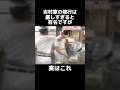 家系総本山“吉村家”の真実