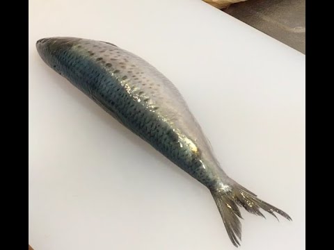 #SARDINE(Sardines Japanese traditional #vinegar marinated sardines