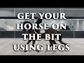 HOW TO GET YOUR HORSE ON THE BIT USING YOUR LEGS - Dressage Mastery TV Episode 98