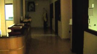 Amnesia The Studio Decent