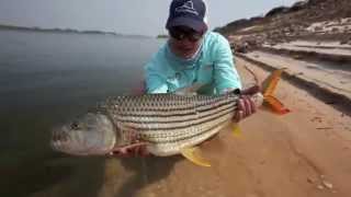 Matoya Tiger Fishing Lodge - FlyCastaway Barotse Floodplain