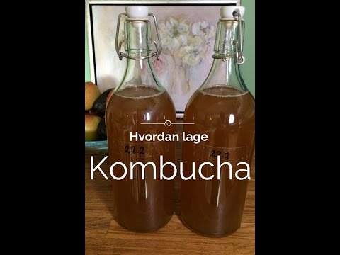 Video: Hvordan Ta Vare På Kombucha