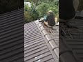 Klei hdǐp mă bruă grăp hruê kơ phung ayǒng adei mkra pưk sang