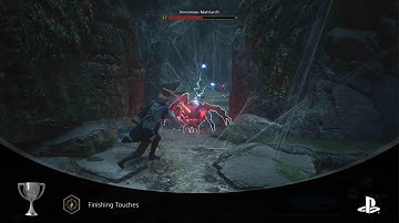 Finishing Touches Silver Trophy How To Guide - Hogwarts Legacy PS5