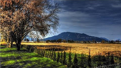 HAP software tutorial in English cooling loads,Autodesk Revit automatic duct drawing generate layout