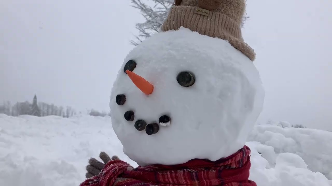 12/6(金)今朝の牧歌の里のお天気「雪」/ 待ってましたの雪