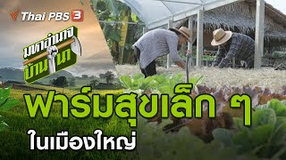 พี่แอน ฟาร์มสุขเล็ก ๆ ในเมืองใหญ่ : มหาอำนาจบ้านนา (28 ก.พ. 64)