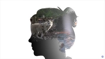 There Is An Ecosystem In Your Mind - S&L Short Clips