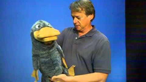 Axtell Starter Puppet - P-P-Platypus