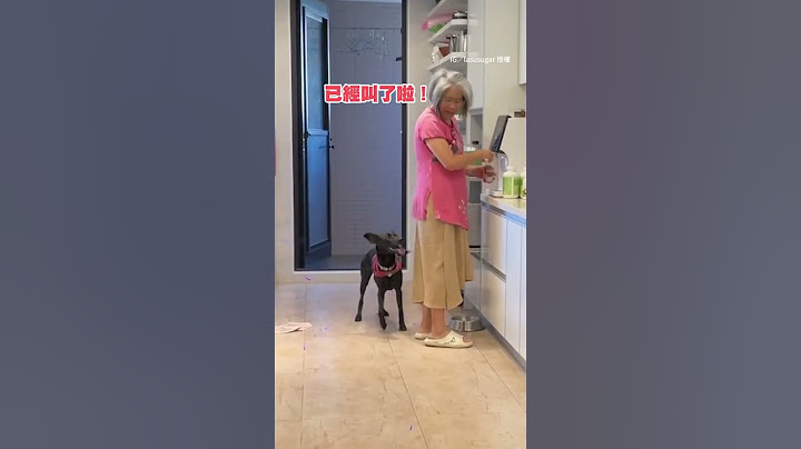 【也太聰明了吧】歐告進屋催媽出門：媽媽妳快一點！ #shorts #funnypets @funny_videos