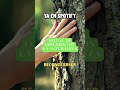 Ritual para conectar con la Naturaleza - Naturaleza Viva 🌿