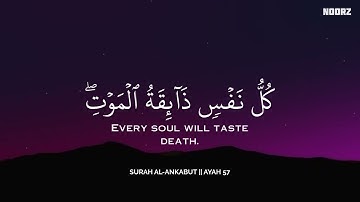 ساعة كاملة🕛🎧 | تلاوة القران بصوت محمد هشام للدراسة والتركيز 📚 | راحة نفسية😌 | Mohamed Hesham
