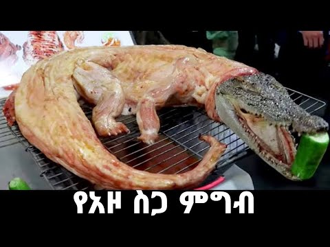 ቪዲዮ: የአዞ ፈርን ተክል ምንድን ነው፡ ስለ አዞው ፈርን ተማር