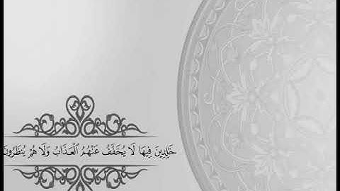 قراءة مميزة من سورة البقرة (الأية 155- الأية169) للشيخ | صالح زكريا