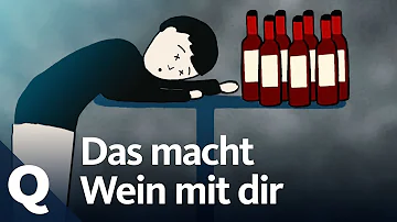 Was passiert wenn man jeden Tag Rotwein trinkt?