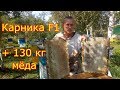 Отбор мёда. Контрольный улей, Карника F1 +130 кг мёда