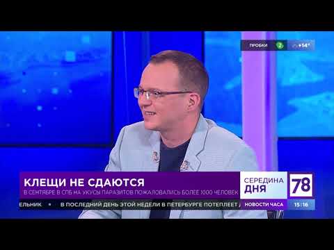 Программа "Середина дня". Эфир от 20.09.20