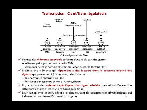 Vidéo: Le Régulateur D'initiation De La Traduction Eucaryote CDC123 Définit Un Clade Divergent D'enzymes De Saisie ATP Avec Un Rôle Prédit Dans De Nouvelles Modifications Protéi