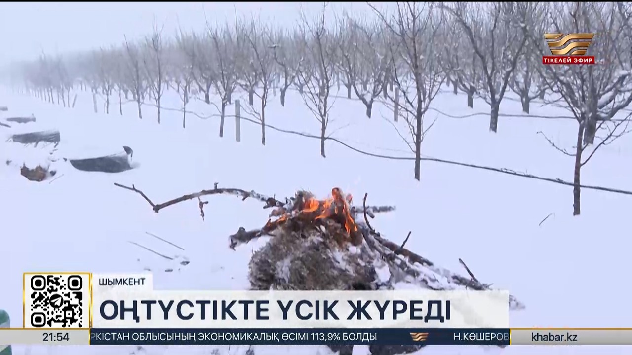 Шымкентте диқандар үсіктен қорғау шараларын күшейтті