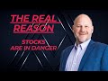 Speculation Is Dead – This is What Nuclear Stocks Are Telling You About the Market