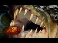Jeremy wade catches killer goliath tigerfish  tigerfish  river monsters