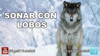 Significado de Soñar con Lobos 🔞 ¿Que Significa?