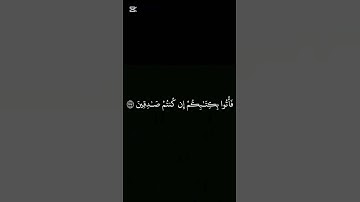 /القارئ عمير شميم/سورة الصافات