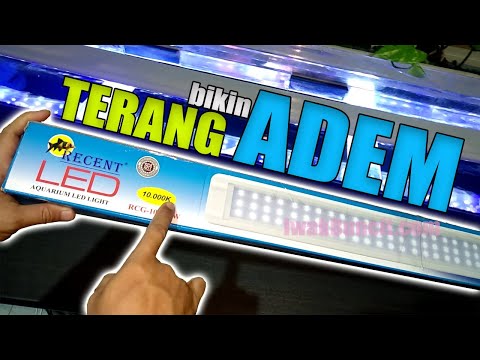 membuat lampu aquarium dari lampu model t5 Tl murah 6500 k .lampu di lem ke potongan kaca .hemat bia. 