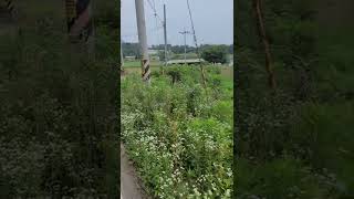 둔리저수지 영상