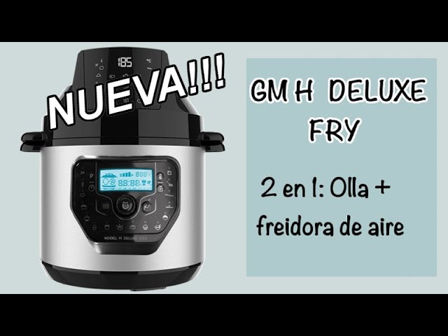 Olla Programable GM CECOTEC H Deluxe Fry 6L (02036)