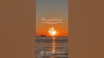 { وَيَوْمَئِذٍ يَفْرَحُ الْمُؤْمِنُونَ بِنَصْرِ اللَّهِ يَنْصُرُ مَنْ يَشَاءُ } القارئ ياسر الدوسري