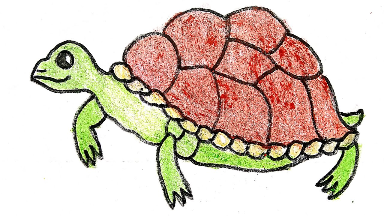 Tortoise easy drawing || How to Draw a Tortoise step by step || Simple Tortoise Drawing Colouring