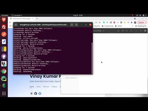 Insta Miner POC Demo | Scrape Instagram Name, Bio, more | Automation | Python | Selenium | Vinnyhere