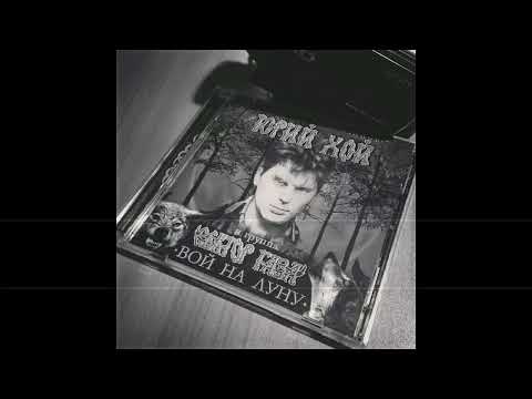 Сектор газа -