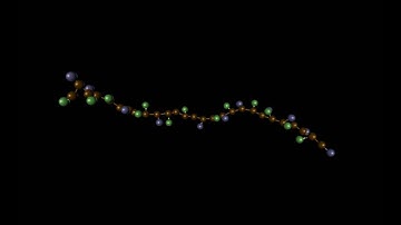 MD simulation of a positively charged polymer chain "unfolding model protein peptide"